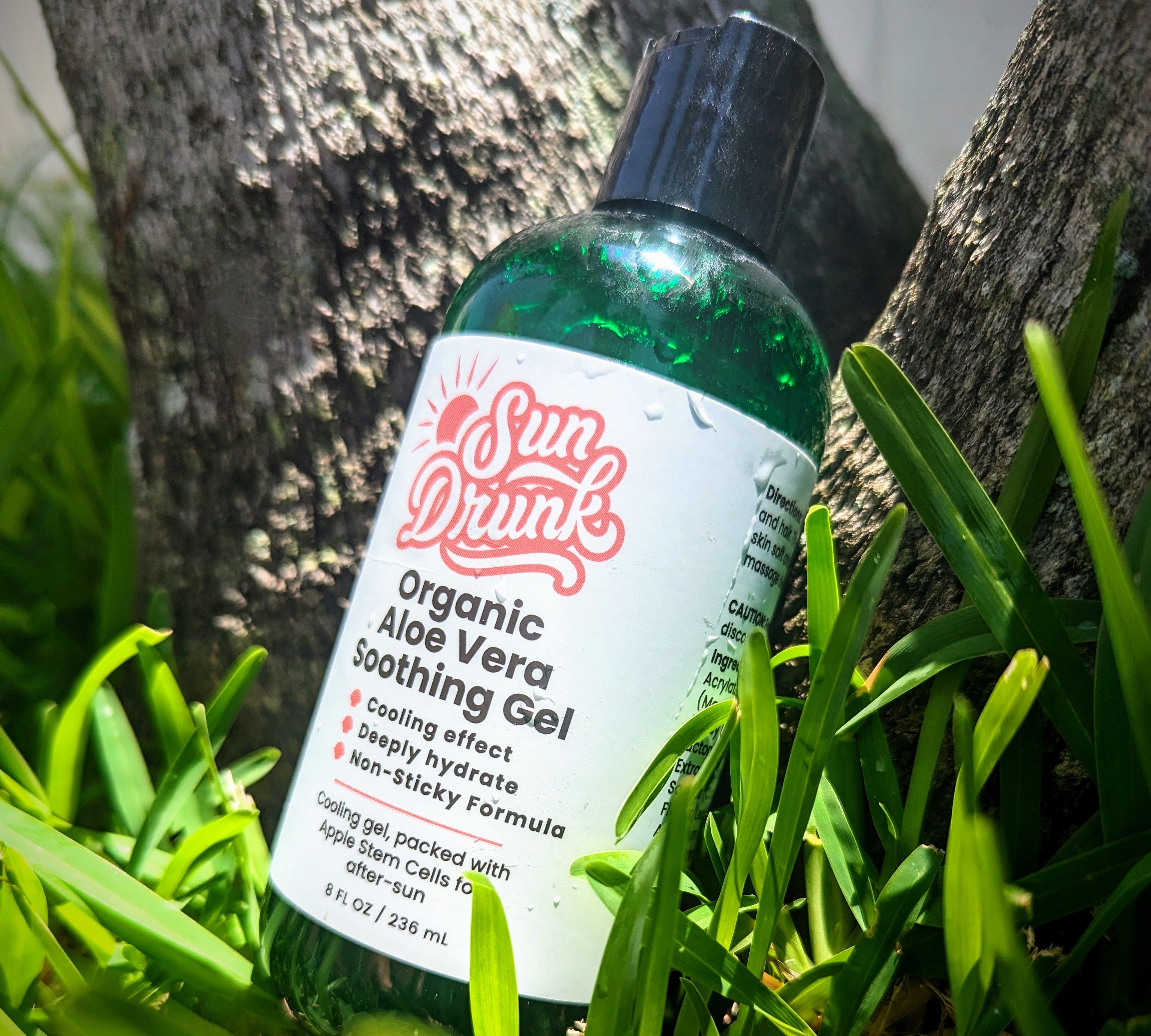 Get Glowing: Unlock Aloe Vera's Skin Benefits! - Sun Drunk