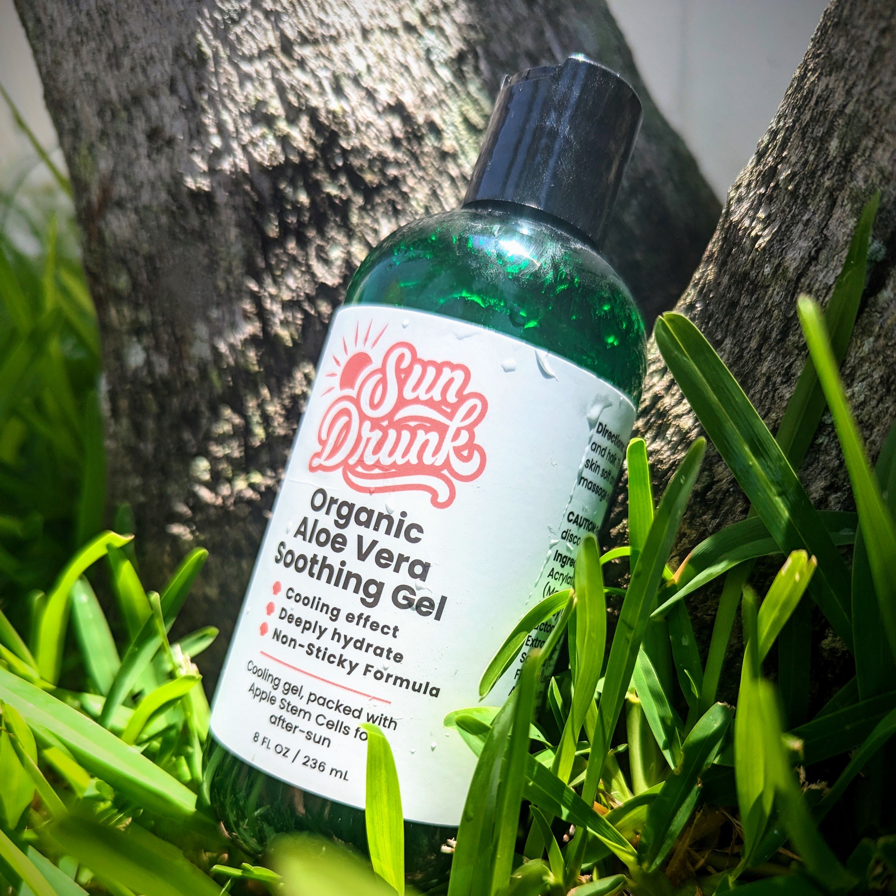 Get Glowing: Unlock Aloe Vera's Skin Benefits! - Sun Drunk