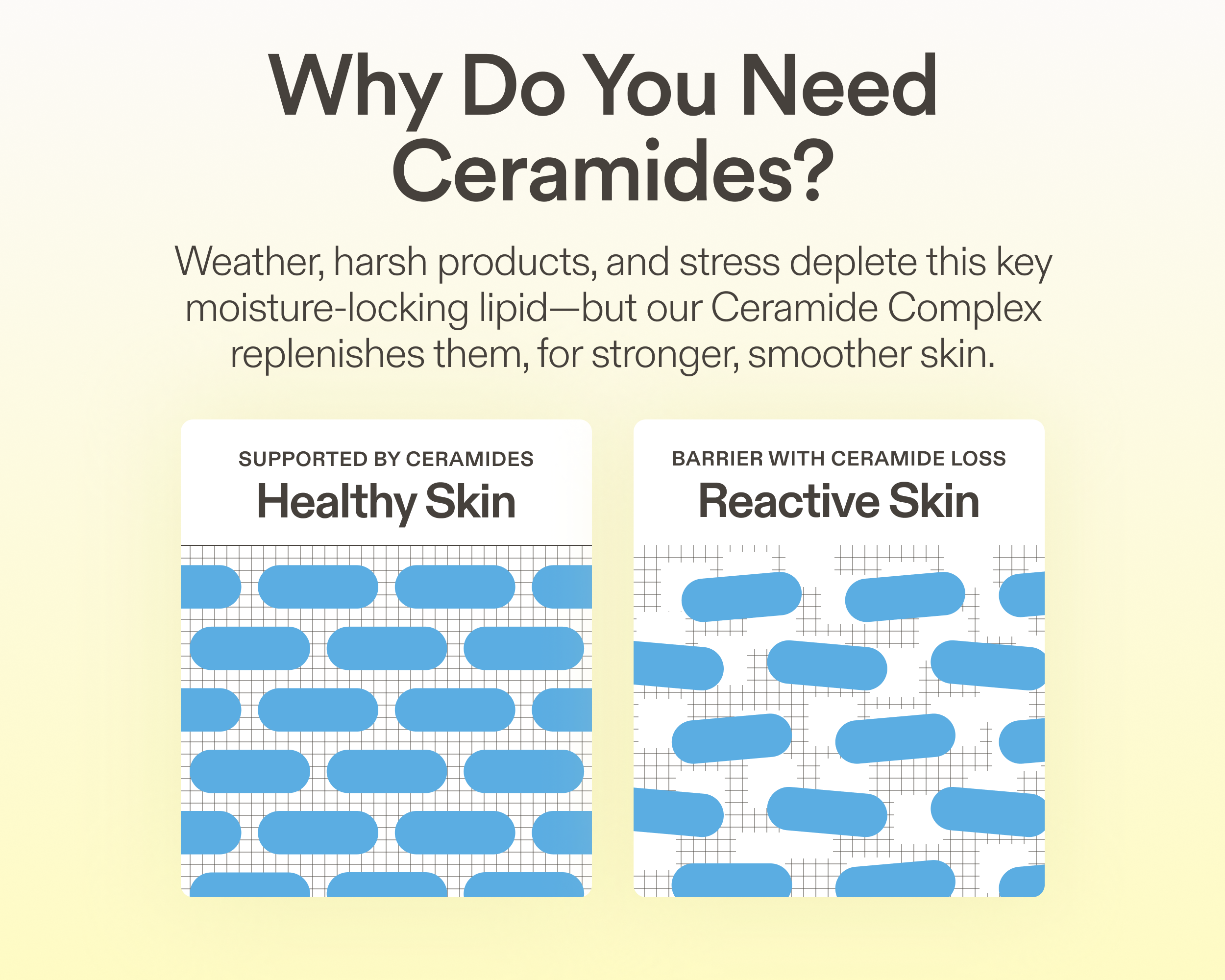 Ceramide Prime Whipped Cream